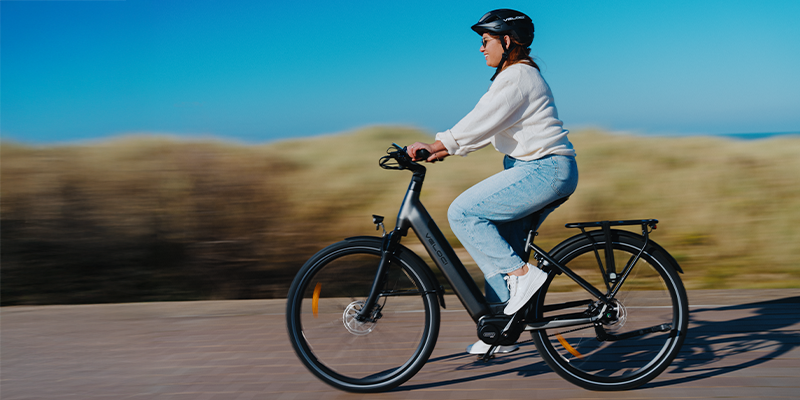 Veloci Solid Plus Elektrische Fiets
