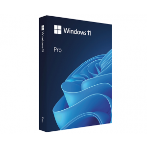 Windows 11 Pro incl. trainingen.