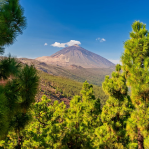 Luxe 8-daagse cruise vanaf Tenerife naar de Canarische Eilanden en Madeira incl. vlucht en volpension of all-inclusive