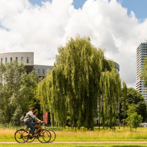 3 dagen 4*-hotel in Eindhoven incl. ontbijt, drankje, hapje & fietshuur!