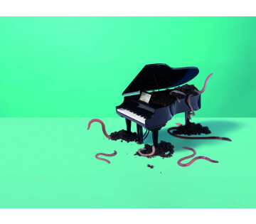 Nanoek - Grond in Drachten