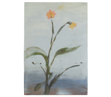 Herfstbloemen in Harlingen