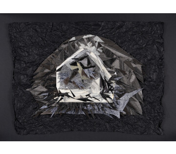 Nightshades in Heerenveen