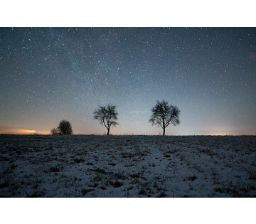 Midwinter: licht in de donkerste nacht in Groningen