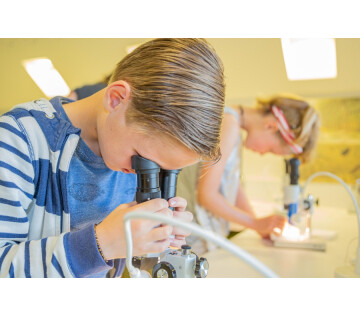 Microscoopmiddag (8+) in Groningen