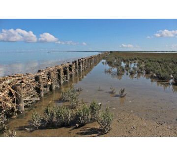 Presentatie met wandelexcursie over Noard-Fryslân Bûtendyks in Hallum