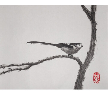 Kunstwandeling Diever in Diever