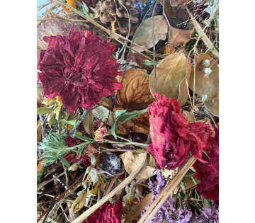 Verzoek om stilte in Groningen