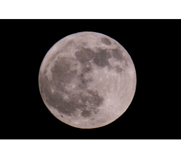 Volle maan wandeling door Nationaal Park De Alde Feanen (12+) in Earnewâld