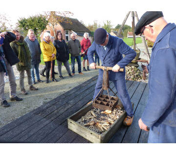 Dollersdei in Damwâld