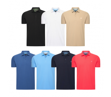 De Norlund Polo Paladin.