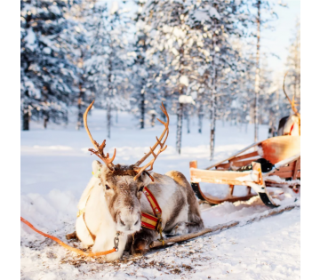 8-dagen compleet verzorgd naar Fins Lapland incl. excursies!
