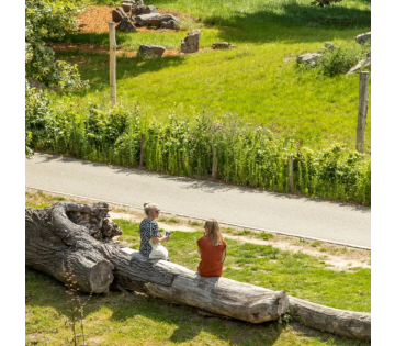 3 dagen Zuid-Limburg incl. ontbijt diner & lunchpakket