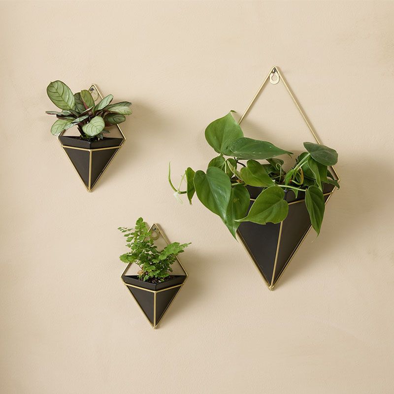 De Lifa Living Hangende Plantenbakken Rosalie hangen aan de muur. De Lifa Living Hangende Plantenbakken Rosalie hangen aan de muur.