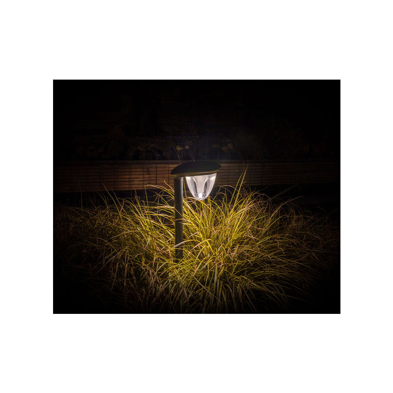 Een van de Juno Tuinlampen geeft licht in een donkere tuin. 
