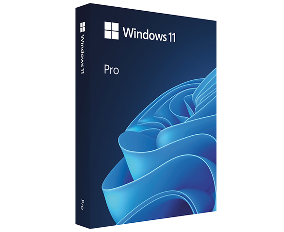 Windows 11 Pro incl. Trainingen